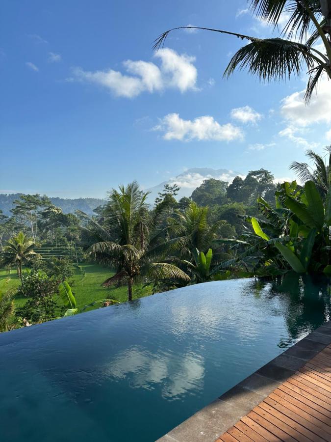 Nana Suites Villa Sidemen  Bagian luar foto