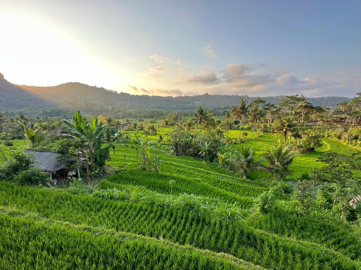 Nana Suites Villa Sidemen  Bagian luar foto